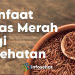 Beras Merah: Alternatif Sehat untuk Gaya Hidup Modern