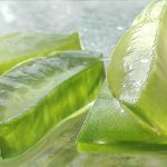 Lidah Buaya, Rahasia Alam untuk Kesehatan Kulit dan Pencernaan