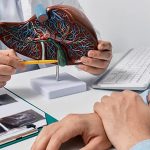 Peran Kunci Hati dalam Proses Pencernaan & Detoksifikasi Tubuh