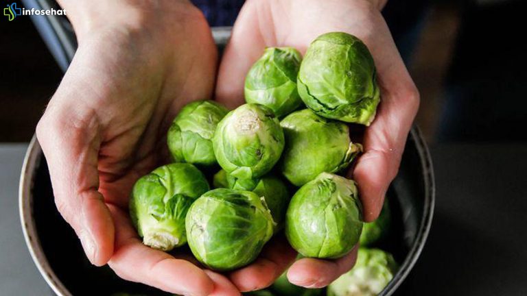 Brussels Sprouts: Rahasia Kecil untuk Jantung Sehat Optimal