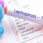 Leptospirosis Langka dan Gagal Ginjal Akut pada Pemuda Iran