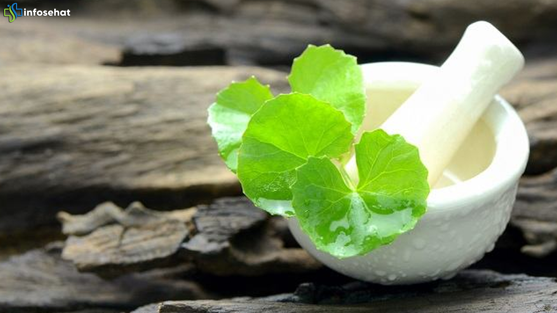 Daun Pegagan: 3 Cara Melindungi Hati Remaja dengan TB