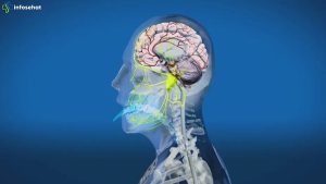 Jangan Kaget! 4 Organ Tubuh Paling Cepat Menua Seketika