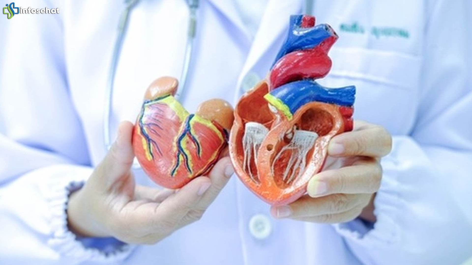 Jangan Kaget! 4 Organ Tubuh Paling Cepat Menua Seketika