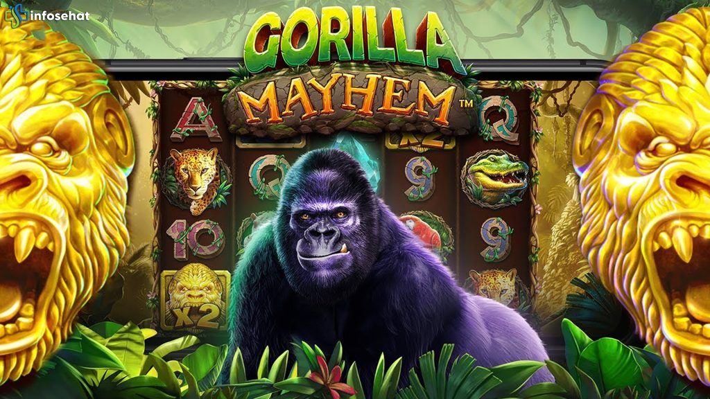 Link Cnnslot Temuin Sensasi Gorilla Mayhem dengan 2 Bonus