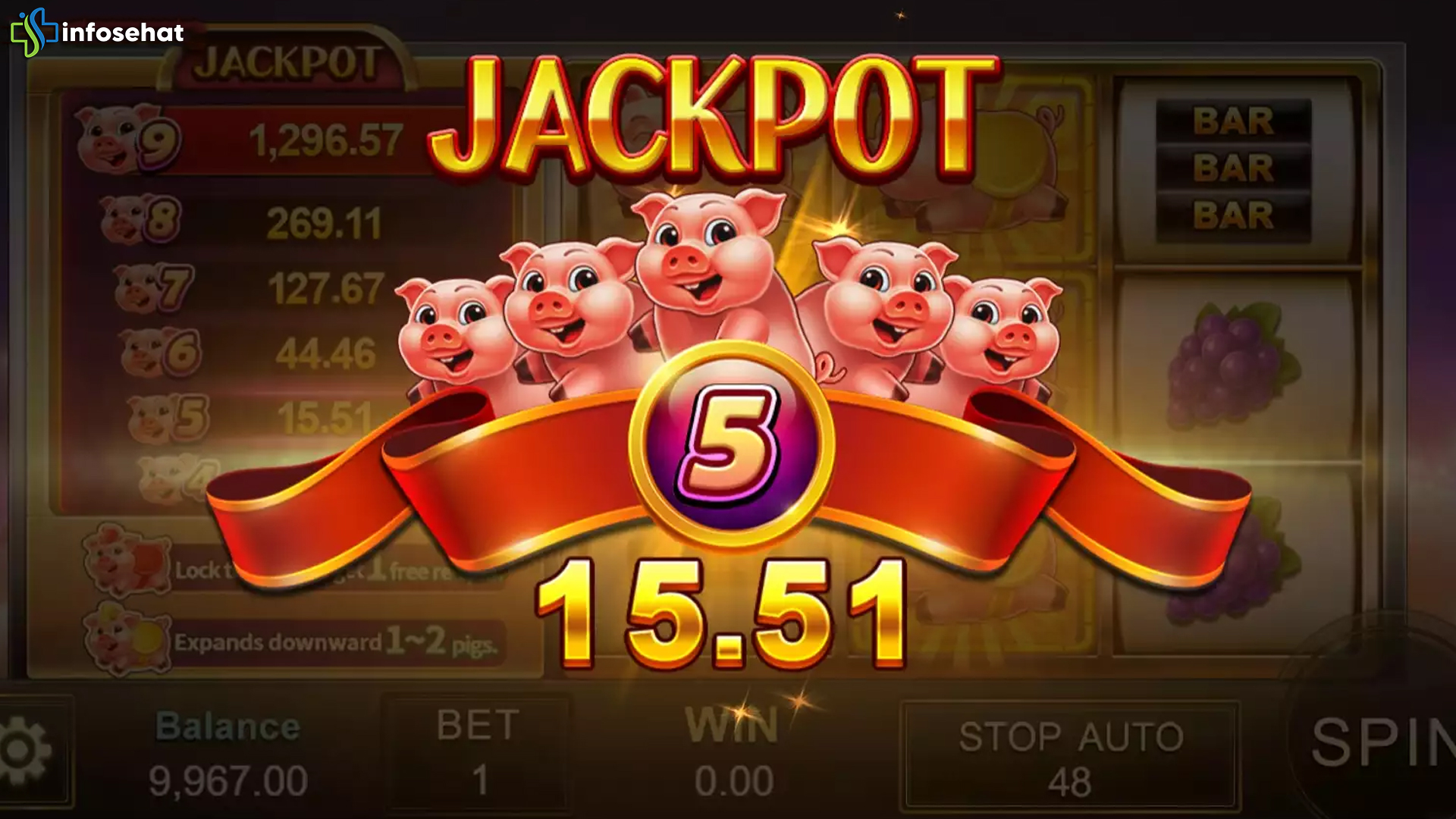 Fortunepig Plus 4 Gemuruh Visual yang Ciptakan Sensasi Baru