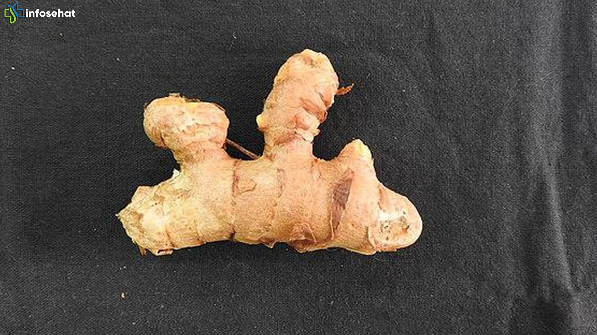 Manfaat Temu Putih: 4 Khasiat Herbal Ajaib untuk Tubuh Sehat