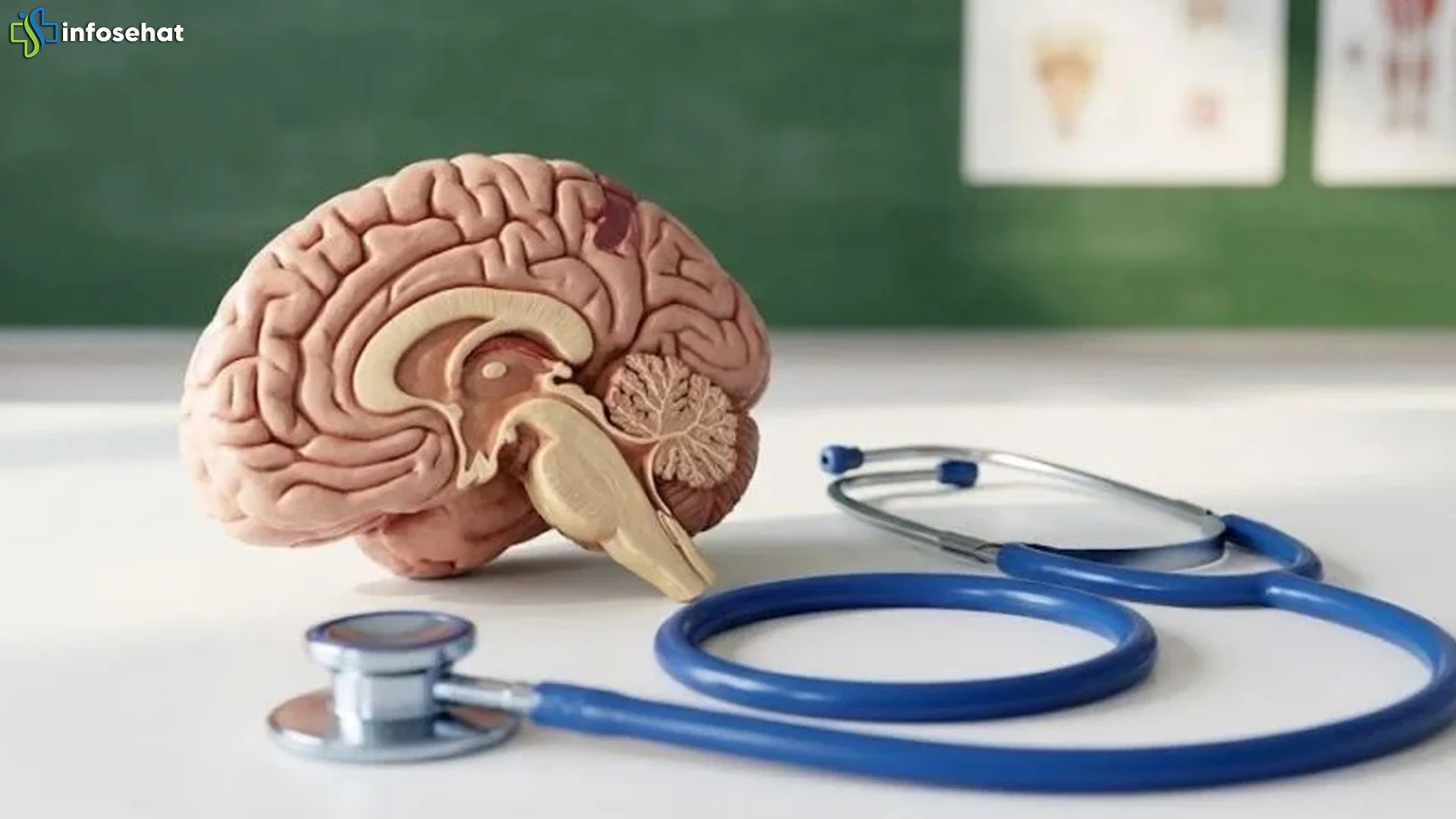 Usia 30-an Bukan Krisis 5 Sisi Positif dari Puncak Kinerja Otak