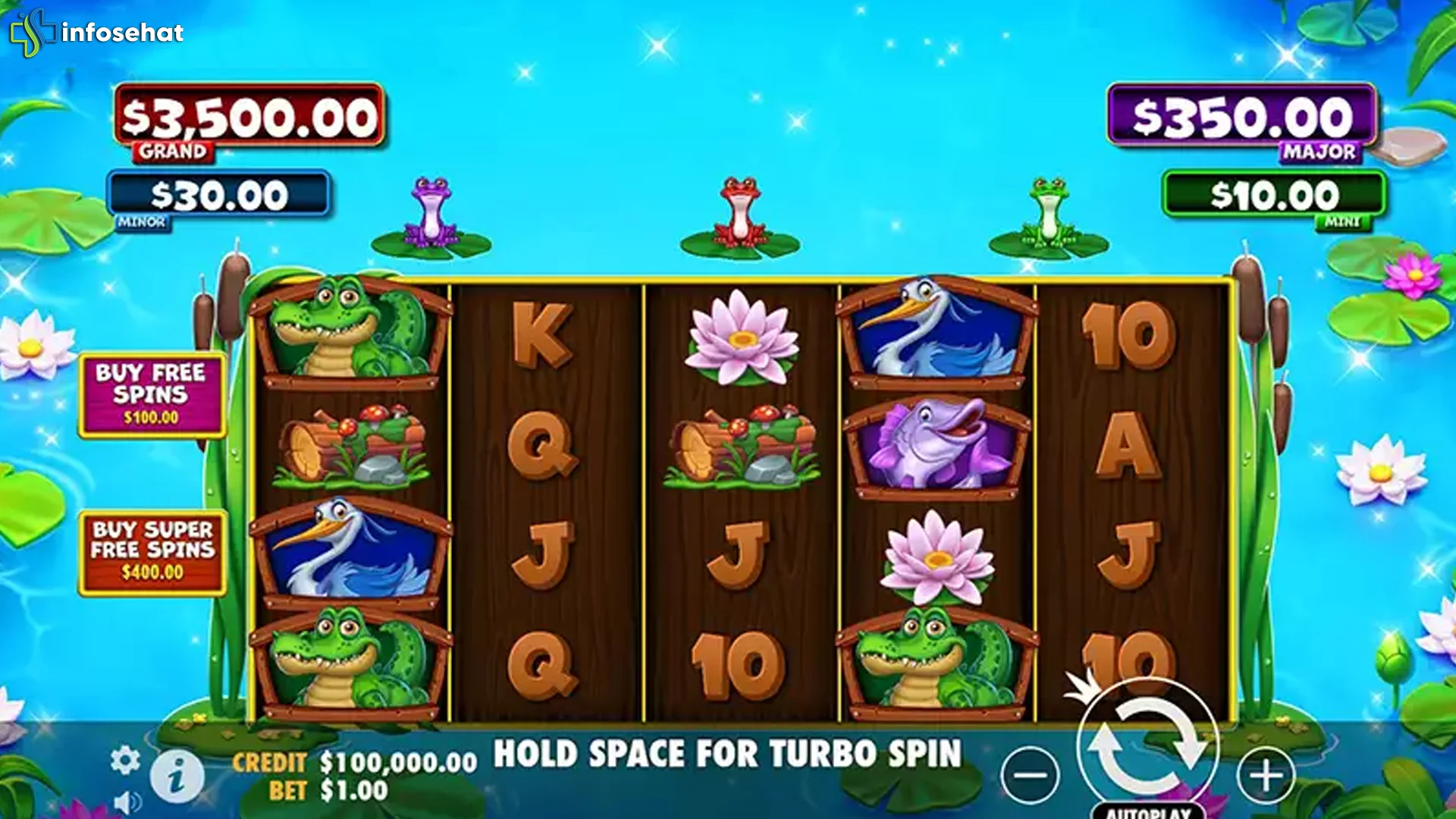 Vibe Chill Tiny Toads Refleksi 4 Tren Slow Living Gen Z Sekarang