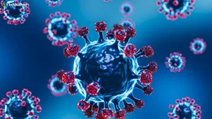 5 Risiko Virus Nipah Pada Anak Dan Cara Pencegahan Efektif