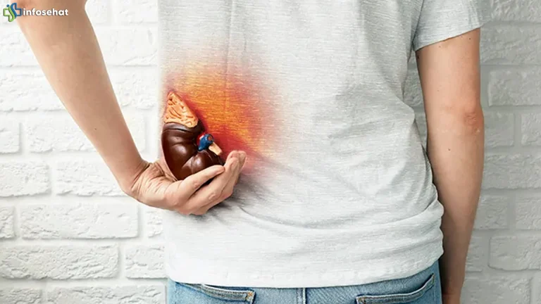 5 Situasi Batu Ginjal Yang Membutuhkan Penanganan Medis Cepat