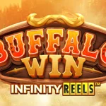 Kenapa Buffalo Win 2026 Sedang Jadi Andalan Banyak Player Asli