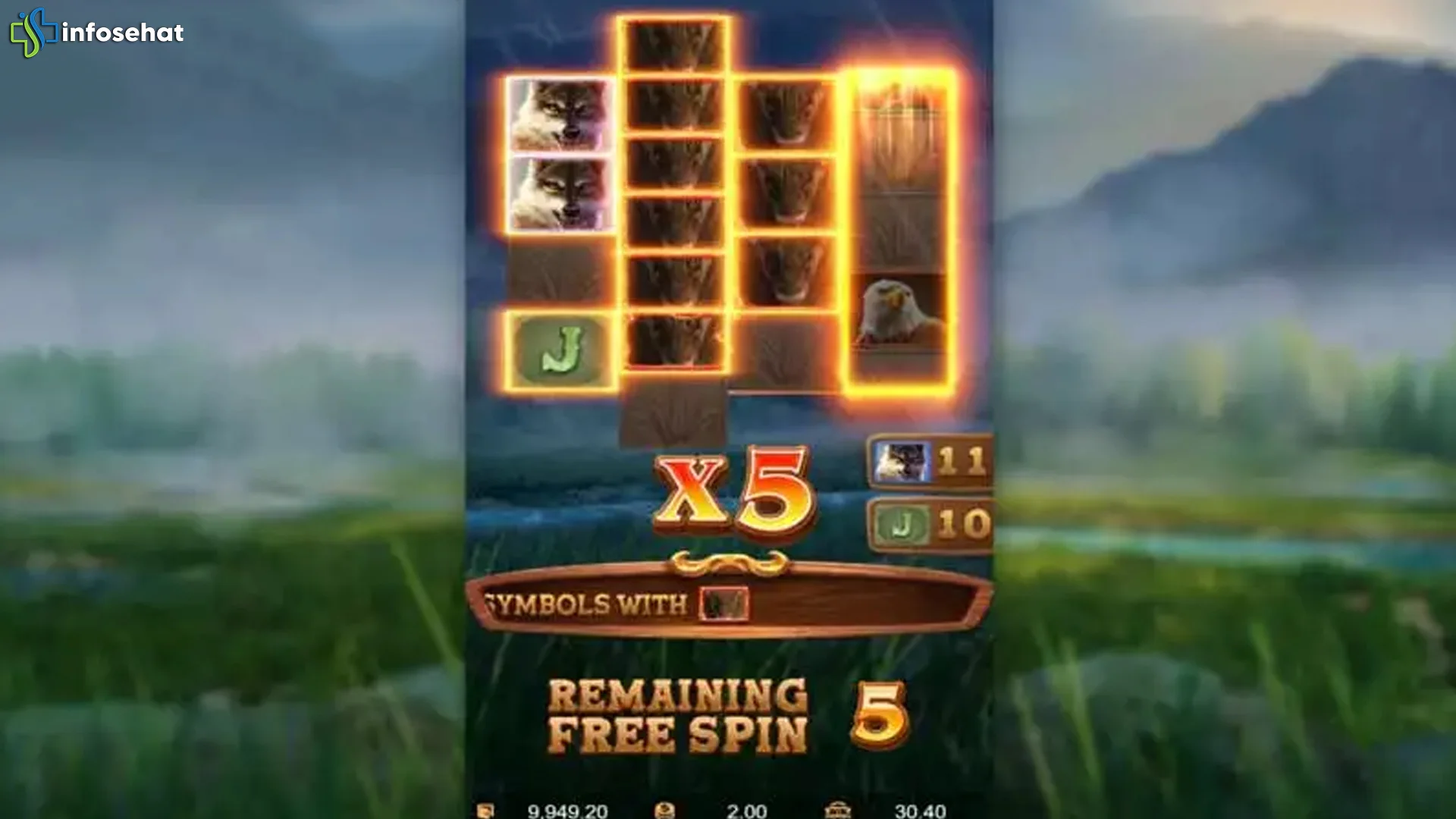 Kenapa Buffalo Win 2026 Sedang Jadi Andalan Banyak Player Asli