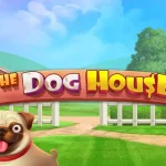 The Dog House Volatilitas Tinggi dengan 4 Raining Wilds Besar
