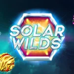 4 Warna Api Kunci Memahami Power Megah Solar Wilds