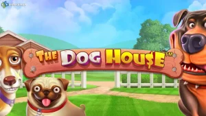 The Dog House Volatilitas Tinggi dengan 4 Raining Wilds Besar