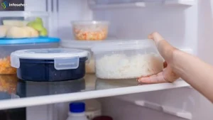 Simpan Sisa Nasi Ayam di Kulkas Harus Waspadai 4 Risiko Ini