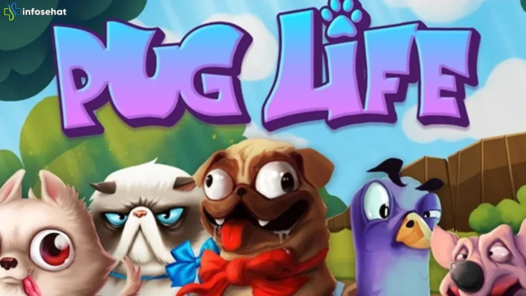 Visual Cerah Pug Life Dengan 5 yang Estetik Spin Fun