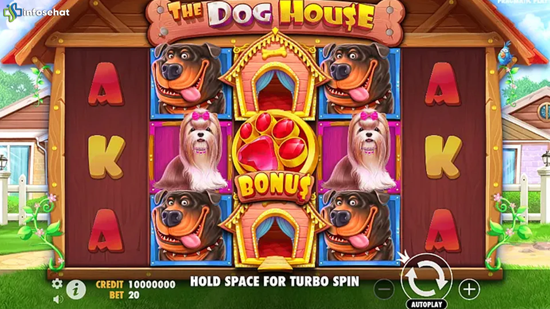 The Dog House Volatilitas Tinggi dengan 4 Raining Wilds Besar