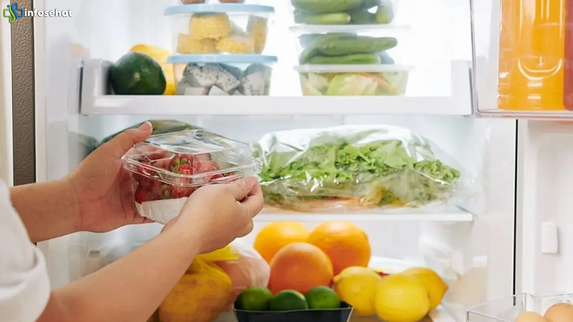 Simpan Sisa Nasi Ayam di Kulkas Harus Waspadai 4 Risiko Ini